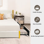 Queen Size