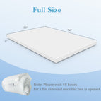 Full Size