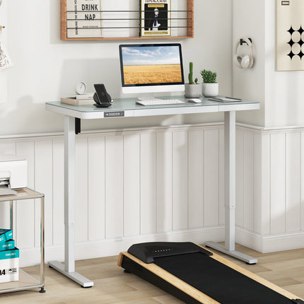 48-Inch Height Adjustable Electric Standing Desk with Drawer