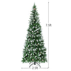 7 Feet