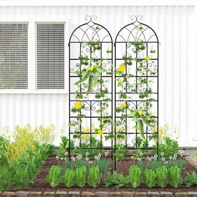 4 Pack 71" x 20" Metal Garden Trellis for Outdoor Climbing Plants