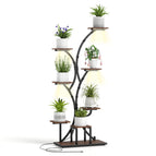 Set of 1