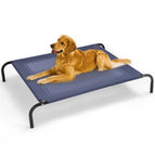 Xl