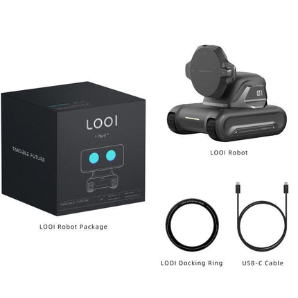 Intelligent Robot AI Assistant with Face Recognition and Gesture Control for Interactive Voice Conversations