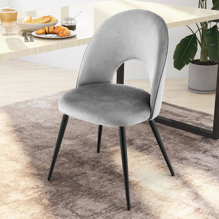 Dining Chair Set of 2 with Metal Base and Adjustable Pads