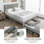 Queen Size