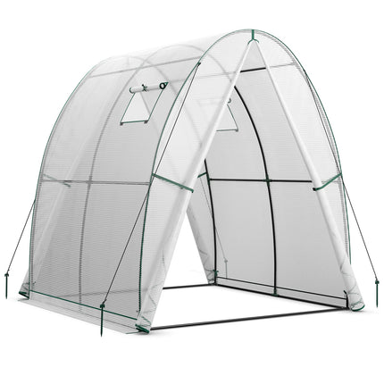 6 x 6 x 6.6 FT Outdoor Wall-in Tunnel Greenhouse
